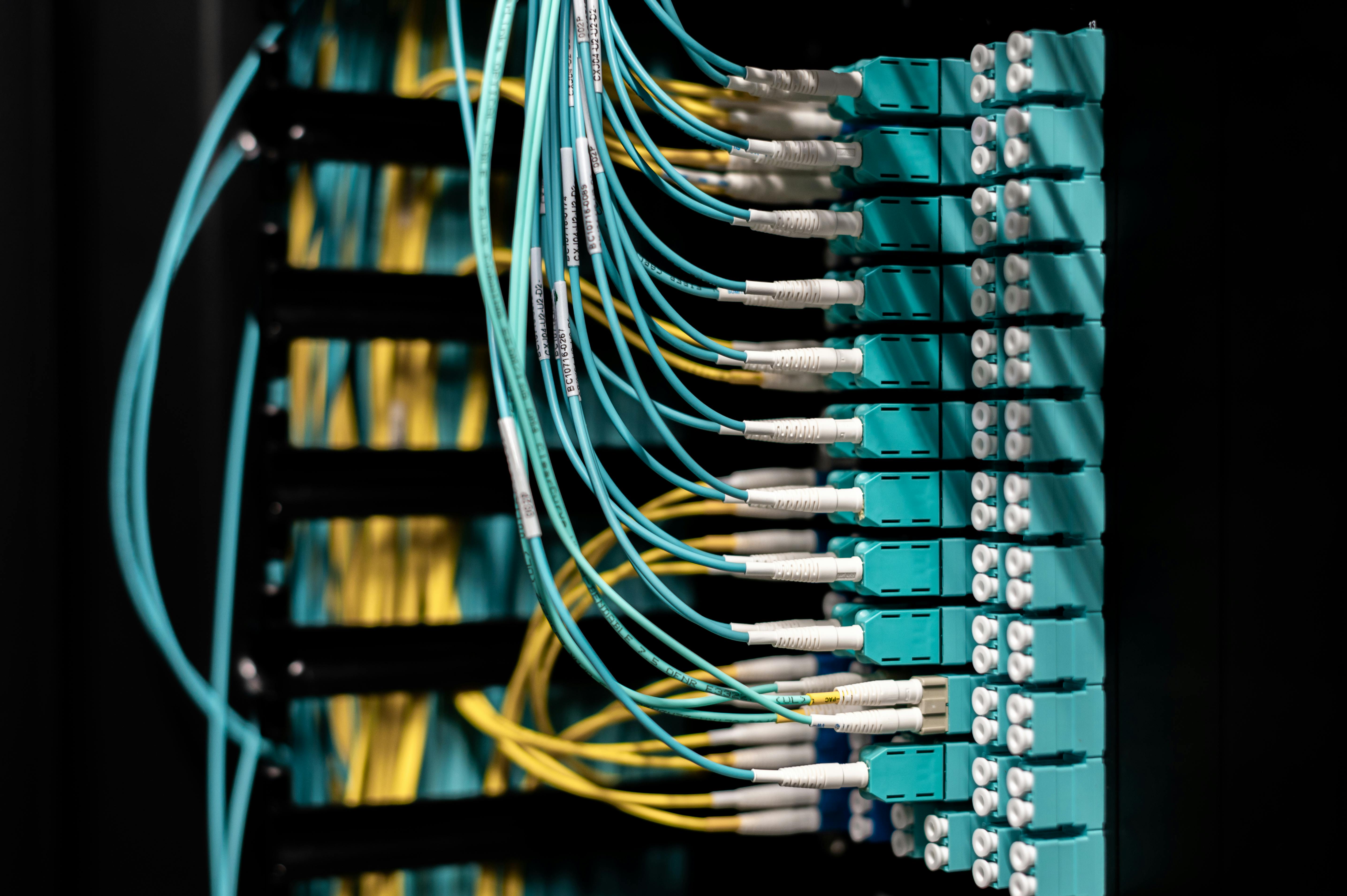 Organized fiber optic cables connected to labeled ports in a structured data center rack, illustrating professional cable management and labeling services.